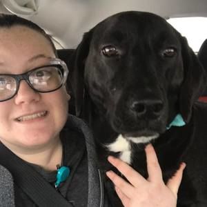 Meet your Posher, Taylor